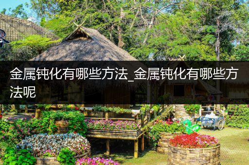 金属钝化有哪些方法_金属钝化有哪些方法呢