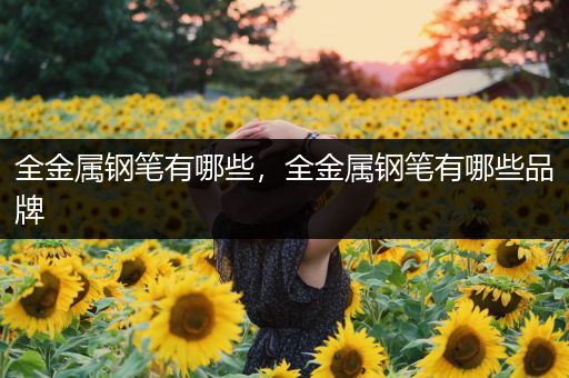 全金属钢笔有哪些，全金属钢笔有哪些品牌