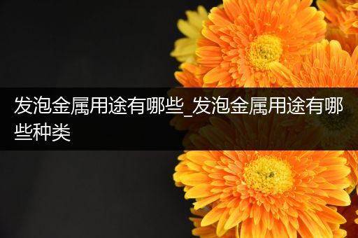 发泡金属用途有哪些_发泡金属用途有哪些种类