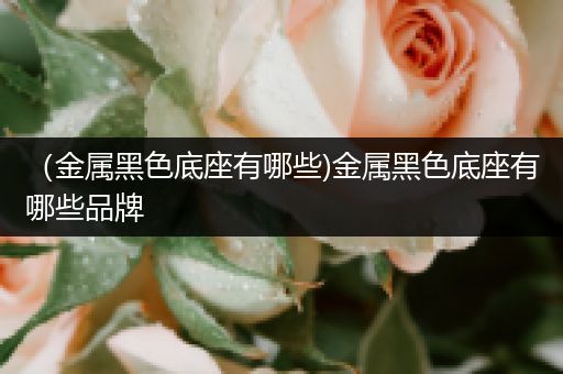 （金属黑色底座有哪些)金属黑色底座有哪些品牌