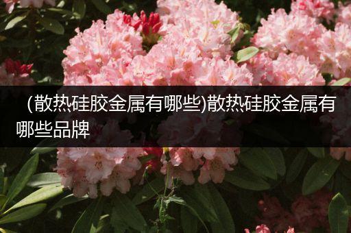 （散热硅胶金属有哪些)散热硅胶金属有哪些品牌