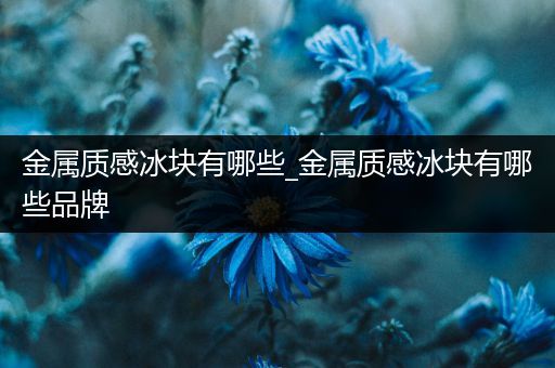 金属质感冰块有哪些_金属质感冰块有哪些品牌
