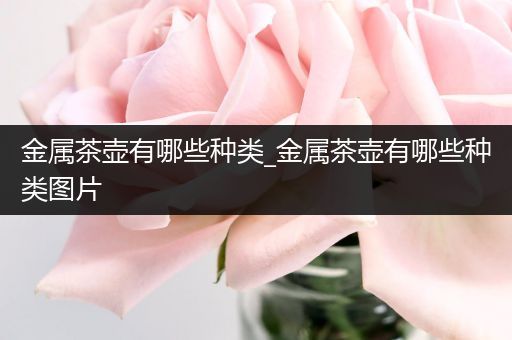 金属茶壶有哪些种类_金属茶壶有哪些种类图片