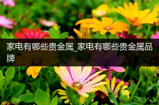 家电有哪些贵金属_家电有哪些贵金属品牌