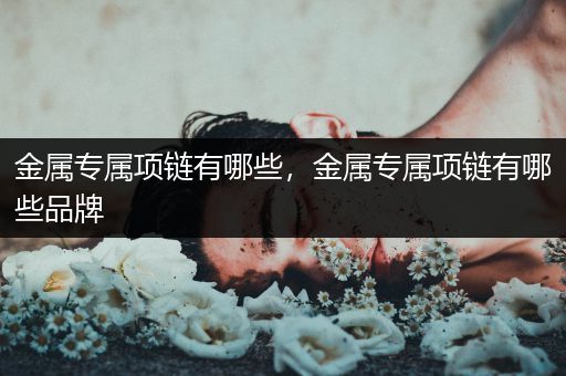 金属专属项链有哪些，金属专属项链有哪些品牌
