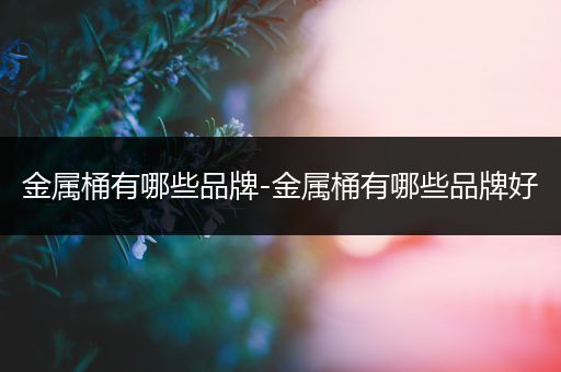 金属桶有哪些品牌-金属桶有哪些品牌好