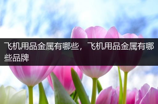 飞机用品金属有哪些，飞机用品金属有哪些品牌