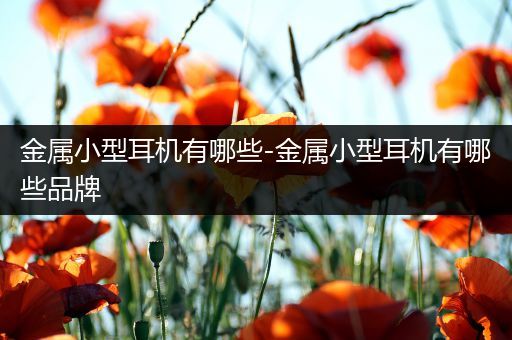 金属小型耳机有哪些-金属小型耳机有哪些品牌