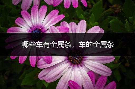 哪些车有金属条，车的金属条