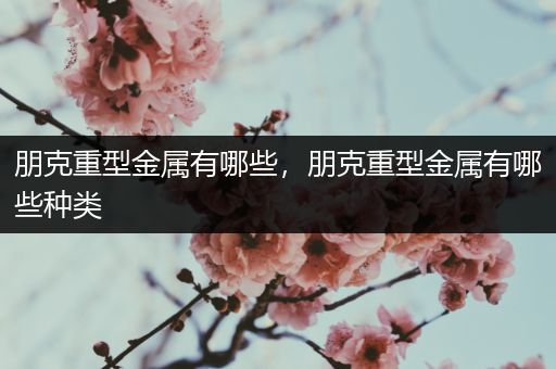 朋克重型金属有哪些，朋克重型金属有哪些种类