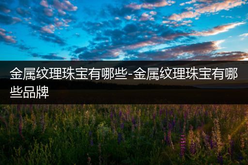 金属纹理珠宝有哪些-金属纹理珠宝有哪些品牌