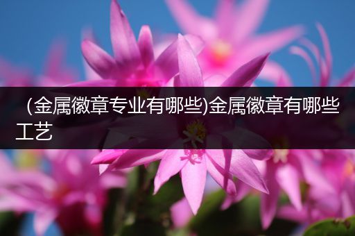 （金属徽章专业有哪些)金属徽章有哪些工艺
