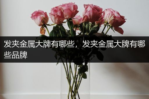 发夹金属大牌有哪些，发夹金属大牌有哪些品牌