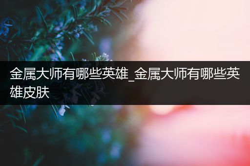 金属大师有哪些英雄_金属大师有哪些英雄皮肤