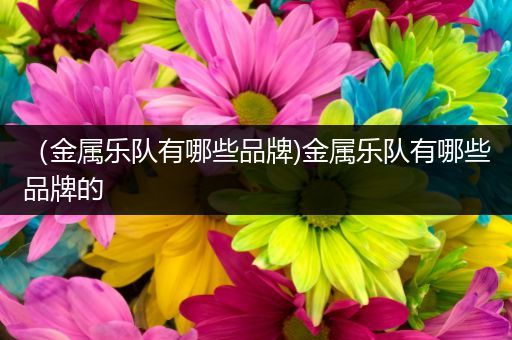 （金属乐队有哪些品牌)金属乐队有哪些品牌的