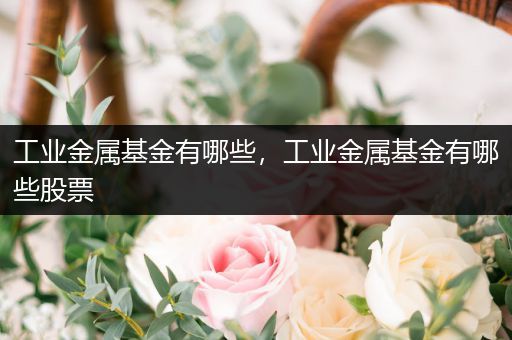 工业金属基金有哪些，工业金属基金有哪些股票