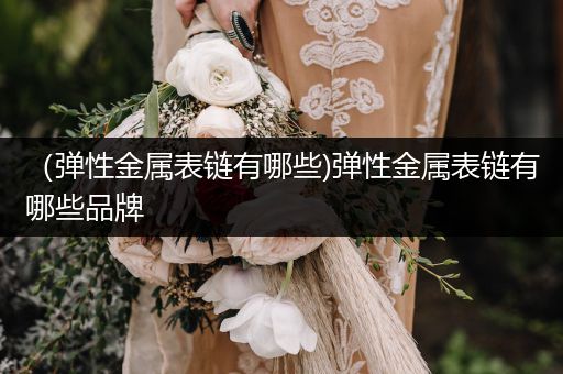 （弹性金属表链有哪些)弹性金属表链有哪些品牌