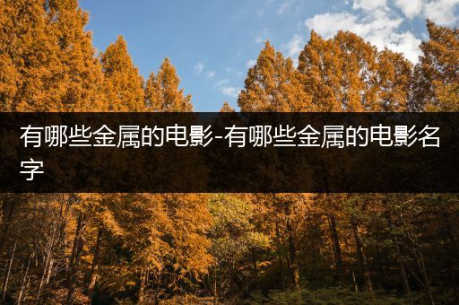 有哪些金属的电影-有哪些金属的电影名字