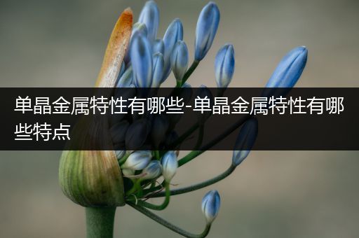 单晶金属特性有哪些-单晶金属特性有哪些特点