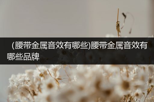 （腰带金属音效有哪些)腰带金属音效有哪些品牌