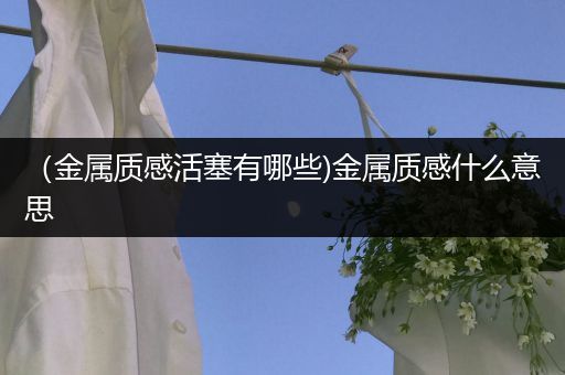 （金属质感活塞有哪些)金属质感什么意思