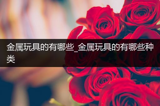 金属玩具的有哪些_金属玩具的有哪些种类