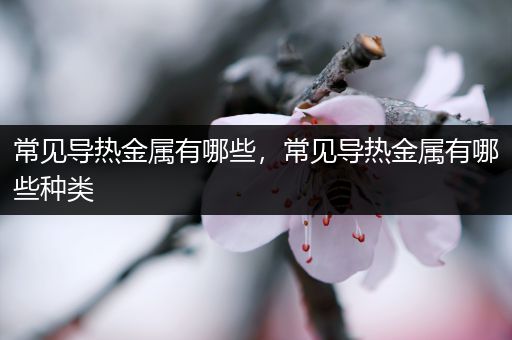 常见导热金属有哪些，常见导热金属有哪些种类