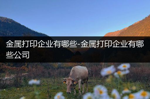 金属打印企业有哪些-金属打印企业有哪些公司