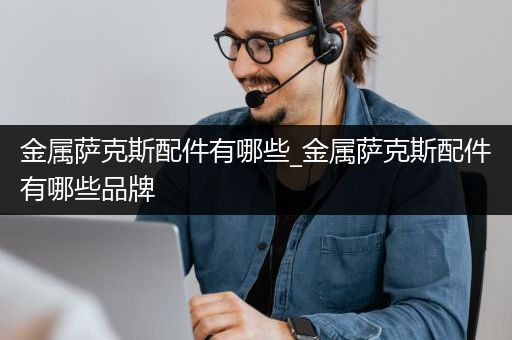 金属萨克斯配件有哪些_金属萨克斯配件有哪些品牌