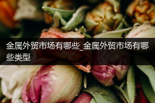 金属外贸市场有哪些_金属外贸市场有哪些类型