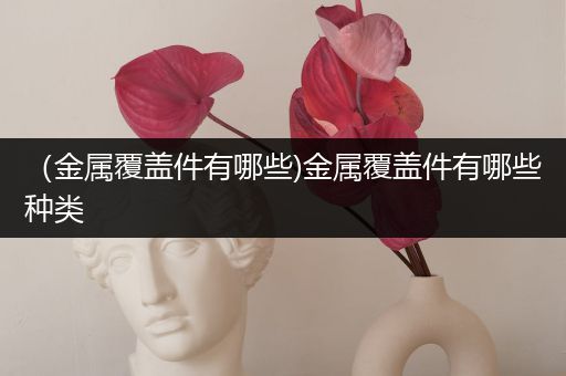 （金属覆盖件有哪些)金属覆盖件有哪些种类