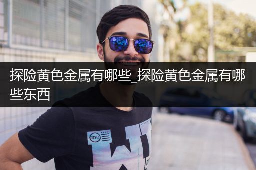 探险黄色金属有哪些_探险黄色金属有哪些东西