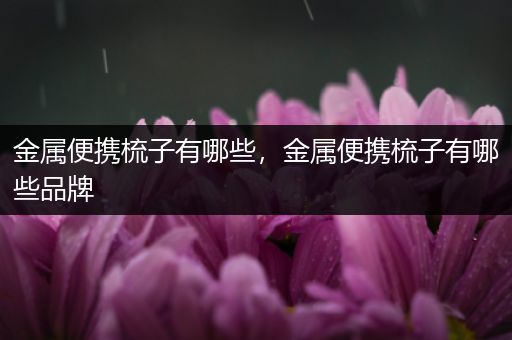 金属便携梳子有哪些，金属便携梳子有哪些品牌