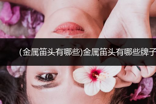 （金属笛头有哪些)金属笛头有哪些牌子