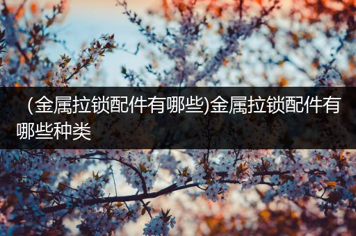 （金属拉锁配件有哪些)金属拉锁配件有哪些种类