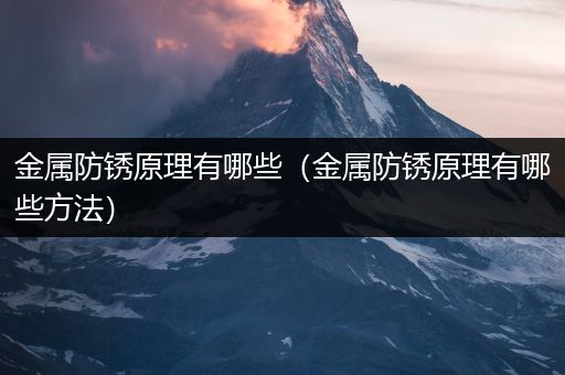 金属防锈原理有哪些（金属防锈原理有哪些方法）