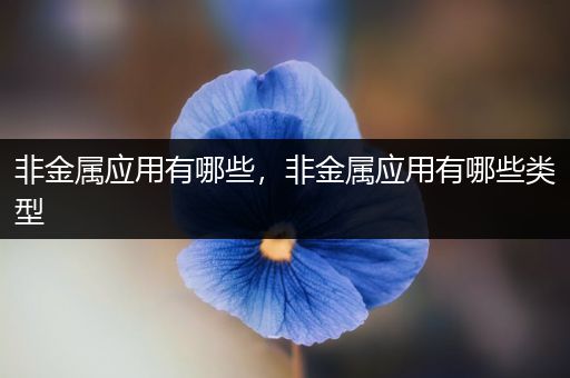 非金属应用有哪些，非金属应用有哪些类型