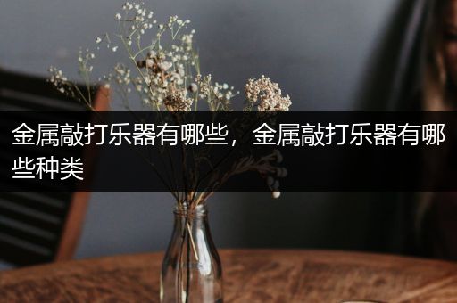 金属敲打乐器有哪些，金属敲打乐器有哪些种类