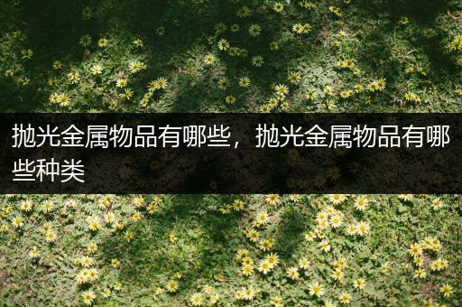 抛光金属物品有哪些，抛光金属物品有哪些种类
