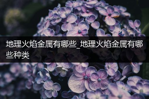 地理火焰金属有哪些_地理火焰金属有哪些种类