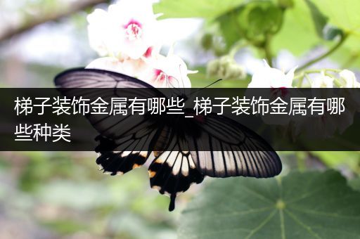 梯子装饰金属有哪些_梯子装饰金属有哪些种类