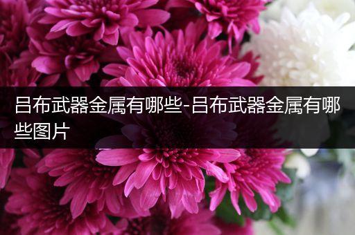 吕布武器金属有哪些-吕布武器金属有哪些图片