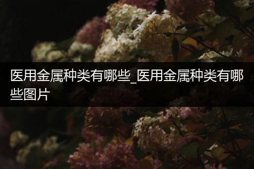 医用金属种类有哪些_医用金属种类有哪些图片