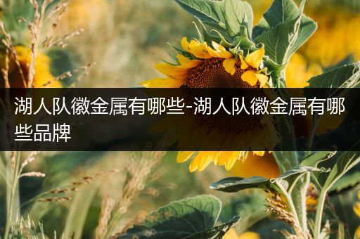 湖人队徽金属有哪些-湖人队徽金属有哪些品牌