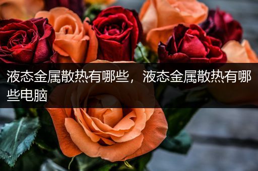 液态金属散热有哪些，液态金属散热有哪些电脑