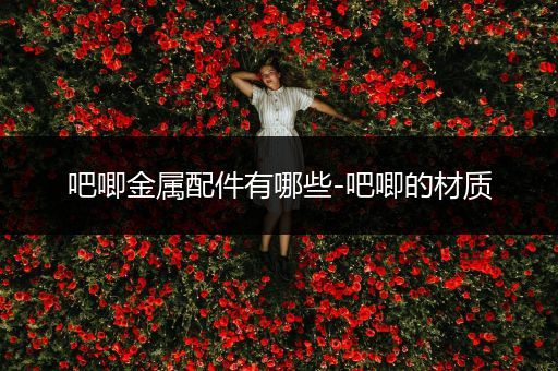 吧唧金属配件有哪些-吧唧的材质