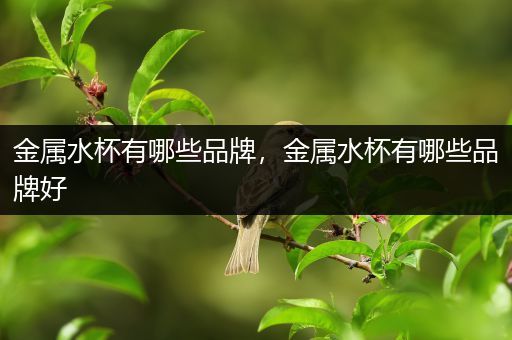 金属水杯有哪些品牌，金属水杯有哪些品牌好