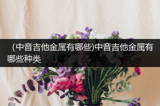 （中音吉他金属有哪些)中音吉他金属有哪些种类