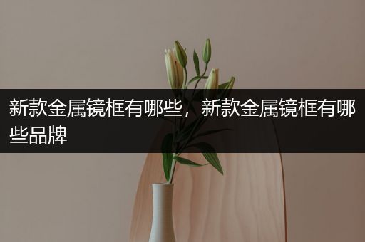 新款金属镜框有哪些，新款金属镜框有哪些品牌