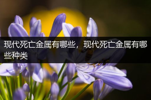 现代死亡金属有哪些，现代死亡金属有哪些种类